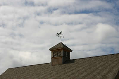 weathervane