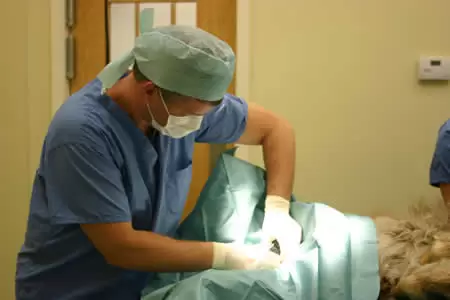 surgery pic2